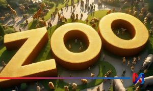 ایردراپ Zoo و نحوه استفاده از آن در بلاکچین